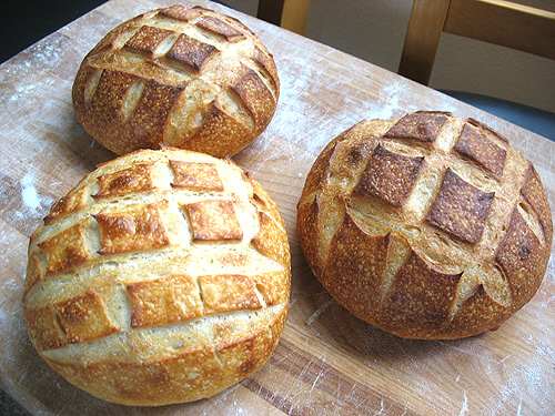 Sourdough loaves