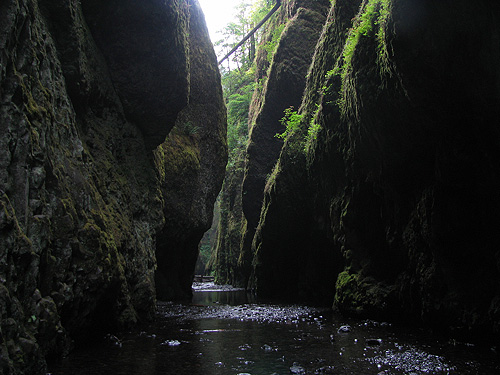 Oneonta gorge